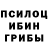 Галлюциногенные грибы Cubensis AuJoBe