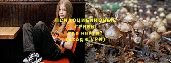 герыч Ладушкин