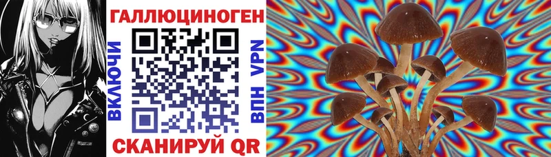 цены наркотик  Иноземцево  Галлюциногенные грибы MAGIC MUSHROOMS 