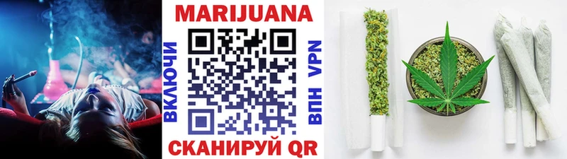 Конопля сатива  Иноземцево 
